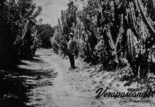 Finca de Salamá, Baja Verapaz, Guatemala
1914-1930 aprox
¿reconocen al personaje?