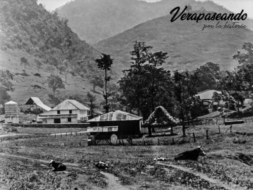 Finca Sepacuité, Senahú, Alta Verapaz.1890-1905 aprox