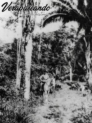 Hermann Heinemann en Senahú A.V.