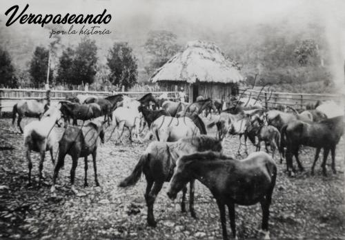 Finca Cubilhuitz en Cobán