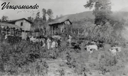 Enrique Schwendener en finca La Huerta, Morazán