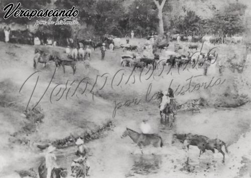 Feria de ganado en Salamá, Baja Verapaz
