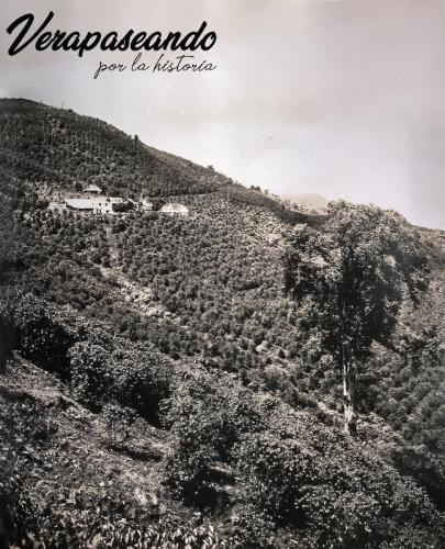 Finca Moccá, propiedad de Robert Hempstead 
La Tinta Alta Verapaz
1915-20 aprox
Colaboración: Anónima 