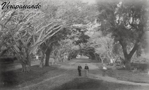 Alameda del CalvarioAntigua Guatemala1888