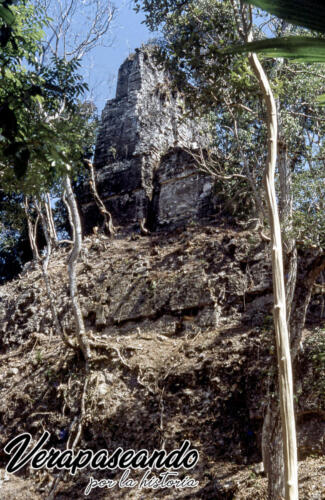 Tikal, Peten
1956
L C Stuart